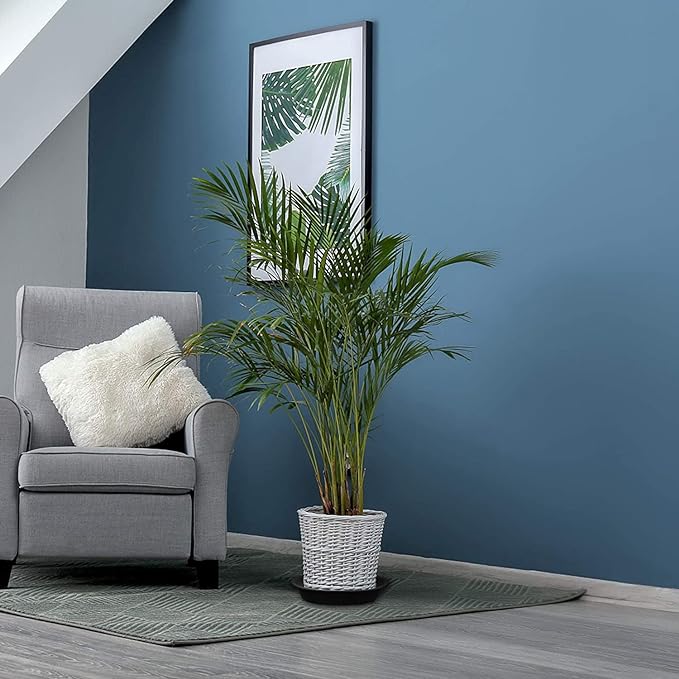 TITE Plant Saucer 16 inch,Heavy Large Planter Durable Thicker Plastic Plant Trays for Indoors and Outdoor,Plant Saucer Drip Trays,Black (16 inch, Black)