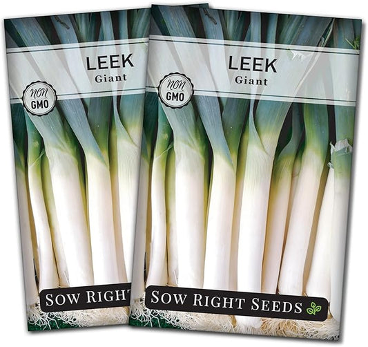 Sow Right Seeds - Giant Leek Seeds for Planting - Non-GMO Heirloom Packet with Instructions to Plant and Grow an Outdoor Home Vegetable Garden - Large Green Chive Onion - Cook Asian Cuisine (2)