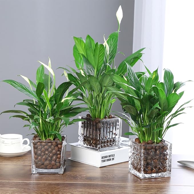 ZeeDix 18LB Big Bag of Leca Clay Pebbles for Plants, Expanded Leca Balls Clay Aggregate Grow Media, 4mm-16mm Natural Organic Clay Pebbles for Hydroponic, Gardening, Orchids, Decoration, Aquaponics