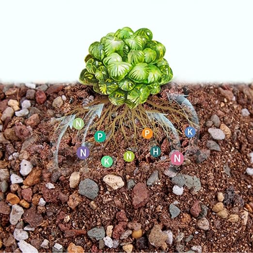 6.6 Pounds Mix Horticultural Lava Rocks, 5-8 mm Lava Rocks for Plants, Bonsai Rocks Horticultural Grit Soil Cover Gravel for Succulents and Hydroponics, Fairy Gardening, Top Dressing, Plant Drainage