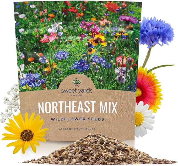 Northeast Wildflower Seeds - Extra Large 1 Ounce Packet - Over 7,500 Native Seeds - Open Pollinated and Non GMO Varieties for New York, Virginia, Pennsylvania, Maine and More!