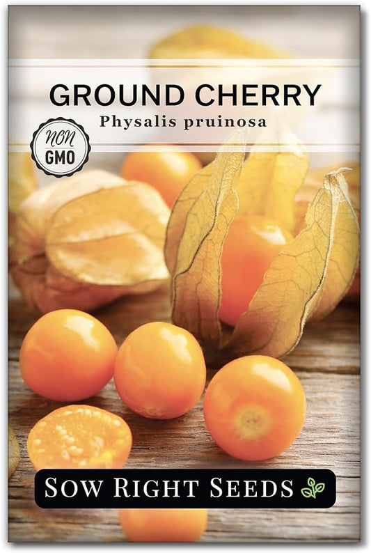 Sow Right Seeds - Ground Cherries Seeds for Planting - Non-GMO Heirloom Packet with Instructions to Plant an Outdoor Home Vegetable Garden - Mexican Husk Tomato - Endangered Variety (1)