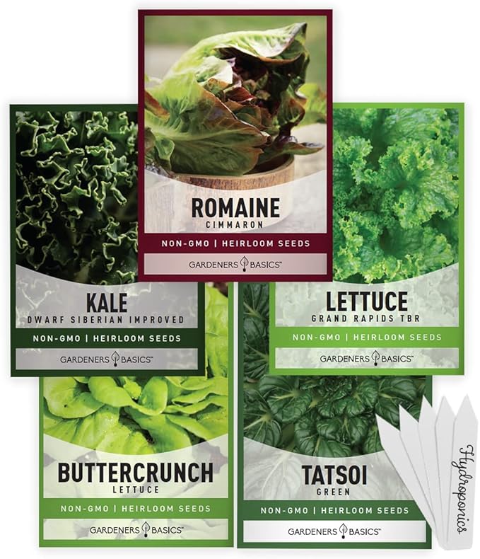 Gardeners Basics, Hydroponic Seeds for Planting Planting Indoors and Outdoor 5 Variety Pack - Tatsoi, Kale, Buttercrunch, Romaine and Loose Leaf Lettuce Seeds