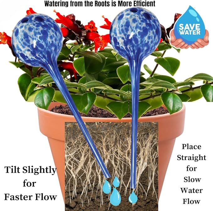 Evelots Plant Watering Globes/Bulbs (2 Pack) - Extra Long 14 Inches - Great for Big Plants - Hand Blown Glass - Automatic Water Irrigation System - Use Indoor/Outdoor - Leave Your Home Worry Free