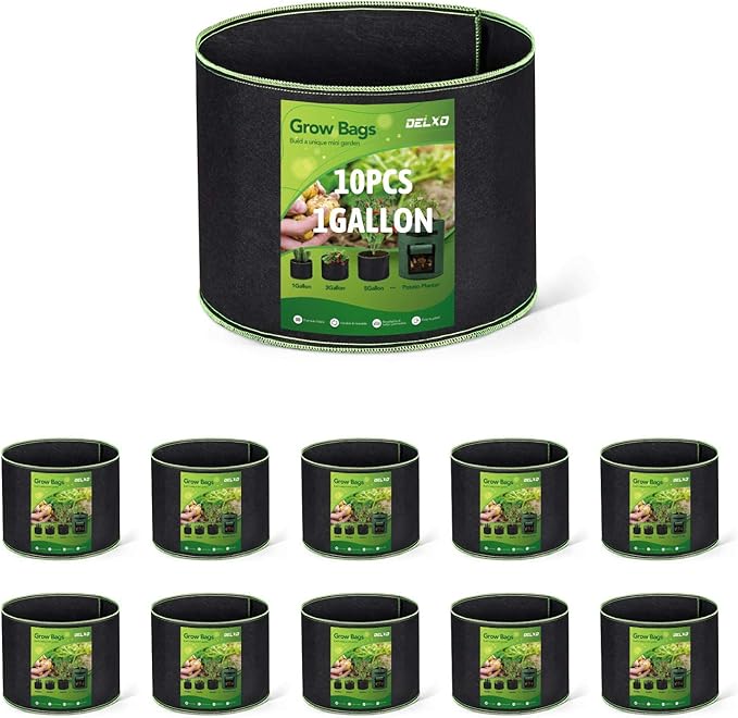 Delxo 20-Pack 1 Gallon Grow Bags,Garden Planting Bag with Handles,300G Thickened Breathable Nonwoven Cloth Fabric Pots for Fruits,Vegetable,Tomato(Black)