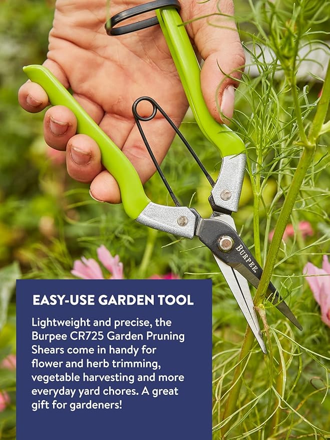 Burpee CR725 Garden Pruning Shears - Garden Hand Tools - Lightweight Precise Pruners for Gardening - Great for Flower Trimming or Vegetable Harvesting - Gardener Gifts