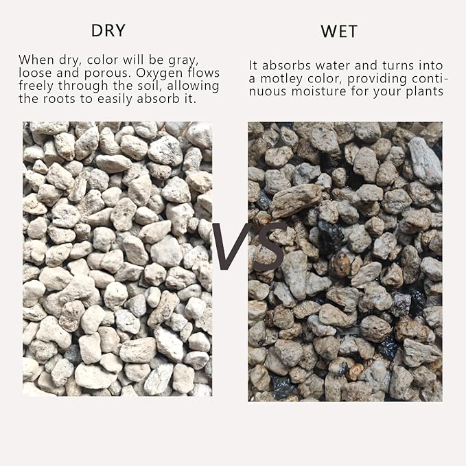 Horticultural Pumice for Plants 2QT, Natural Organic Pumice Stones for Succulent Cactus Bonsai Tree Orchid Potting Mixed, Improves Soil Aeration and Drainage, Promotes Root