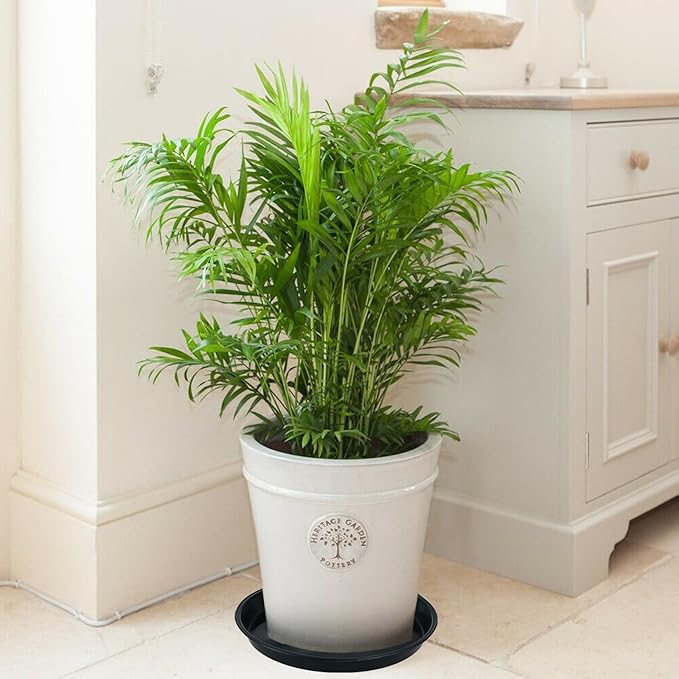 4 Pack Bottom 14 Inch Plant Saucers for Indoors Outdoors Plastic Plant Water Catcher Trays No Holes Round Flower Pot Drip Trays for Pots Base Heavy Duty Plant Pot Saucers Water Drainage Trays, Black