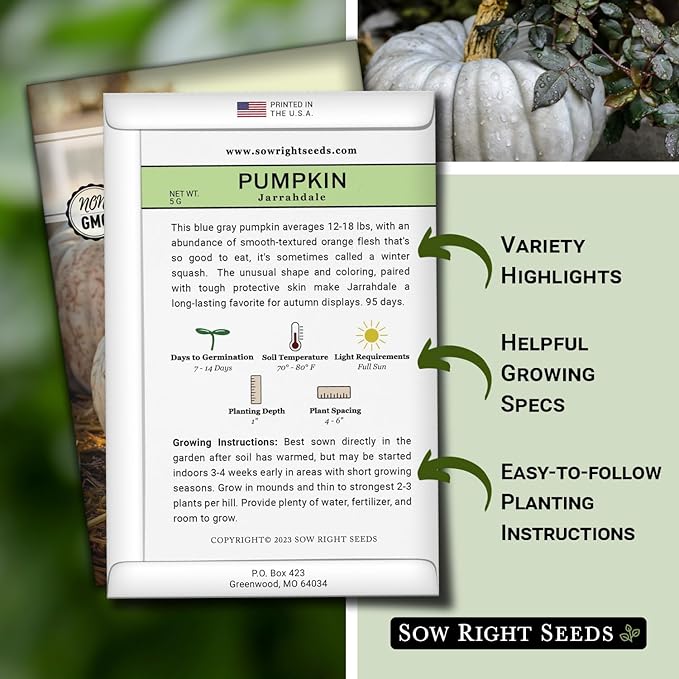 Sow Right Seeds - Jarrahdale Pumpkin Seeds for Planting - Non-GMO Heirloom Packet with Instructions to Plant & Grow an Outdoor Home Vegetable Garden - Unique Grey Blue Variety - Fall Decor (1)