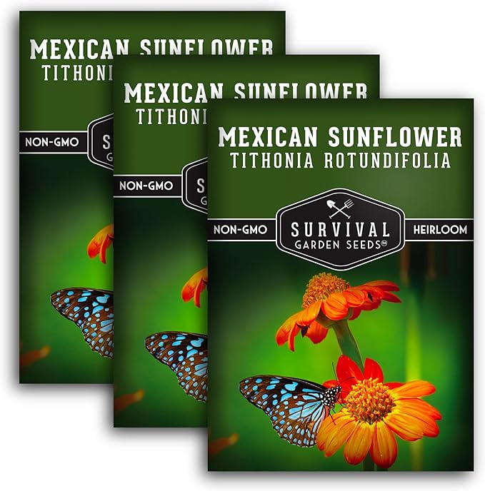 Survival Garden Seeds 3 Packs Mexican Sunflower Seed for Planting - Instructions to Plant and Grow Tithonia Rotundifolia in Your Home Vegetable or Flower Garden - Non-GMO Heirloom Variety