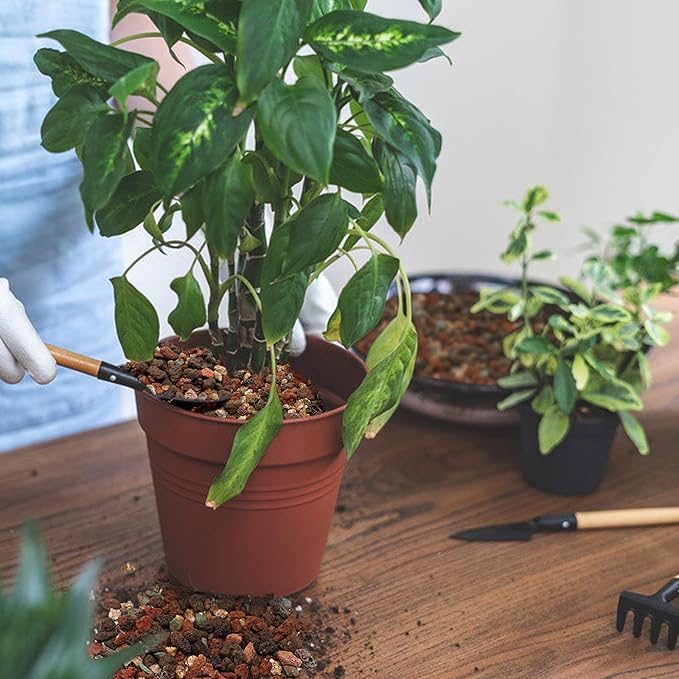 Mix Horticultural Lava Rock Pebbles-Decorative Landscaping Gritty Rocks,Pumice Potting Soil Amendment,Additive for Succulent,Cactus Bonsai,Vase Fillers,Terrarium,Fairy Gardening,Top Dressing.