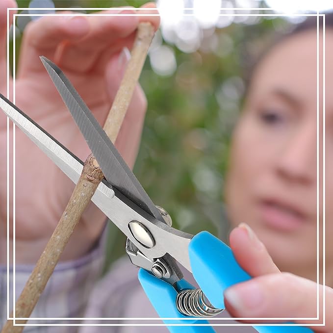 Chumia 30 Pcs Garden Flower Shears Pruning Scissors Heavy Duty Plant Scissors Trimming Garden Clippers Hand Tree Pruner for Yard Gardening Plants Hedge Flower Tree Cutting Secateurs (Blue)