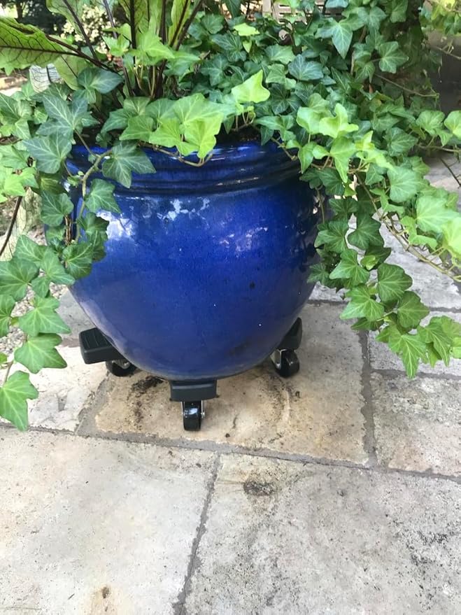 Bosmere Down Under Plant Caddie, Heavy Duty Plant Stand with Wheels, 500 lb Capacity, 20-Inch, Charcoal