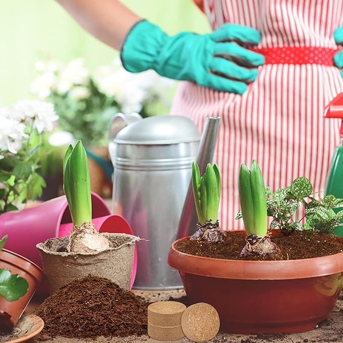 ZeeDix 200Pcs (30mm) Compressed Coco Coir Fiber Potting Soil Seed Starters - Organic Coco Coir Pellet Fiber Soil for Planting Bonsai, Herbs, Flowers and Vegetables