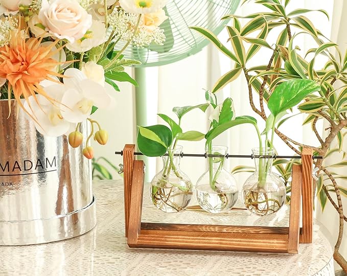 Ivolador Propagation Station, Plants Terrarium, Plants Lover Gifts for Women,Plant Cutting Holder Home décor,Gifts for Women,House Warming Gifts New Home for her
