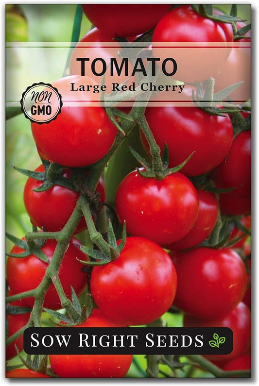 Sow Right Seeds - Large Red Cherry Tomato Seeds for Planting - Non-GMO Heirloom Packet with Instructions to Plant a Home Vegetable Garden - Tasty Snacking Variety, Start Indoors - Indeterminate (1)