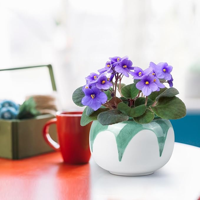 Self Watering Pots for Indoor Plants, 6 Inch African Violet Pots, Easy Plant Self Watering Planter, Ceramic Plant Pot with Absorbent Inner Pot for Flowers,Flower Pots - Gradient Green