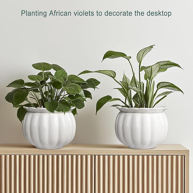 African Violet Self-Watering Ceramic Planter – 6 Inch Pot for Indoor Plants, Succulents, Herbs & Small Houseplants, Simple Self-Watering Design for Home & Office Décor, White