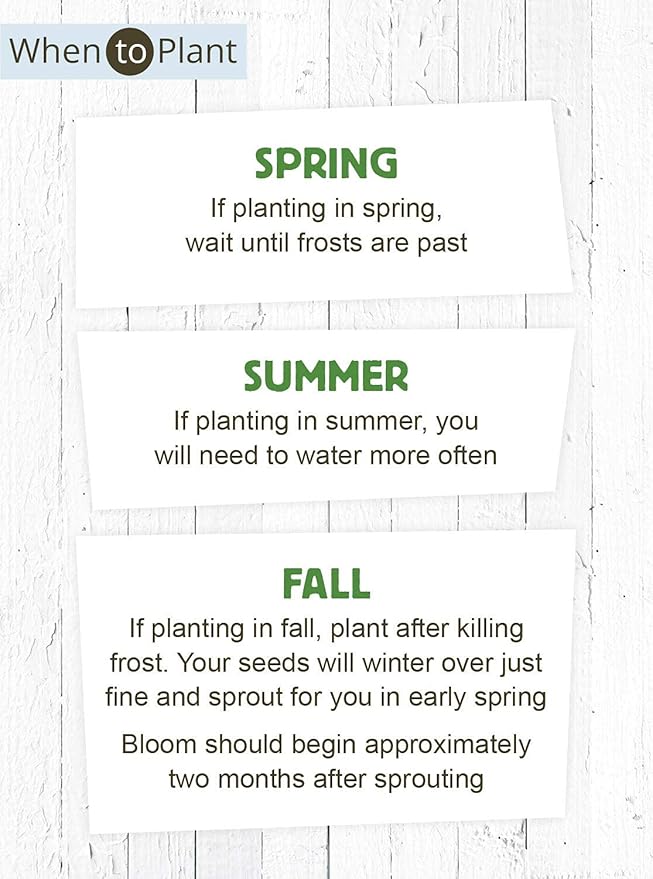 American Meadows Wildflower Seed Packets Forever in Our Hearts Memorial Favors (Pack of 20) - Forget-me-Not Seed Mix, Favors for Funerals, Wakes, Viewings, Visitations, Memorial Services