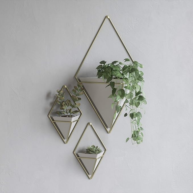 Umbra Trigg Hanging Planter Vase Wall Decor, Set of 2 Pots Containers for Succulents, Cactus, Faux Plants, and More, Small, White/Brass
