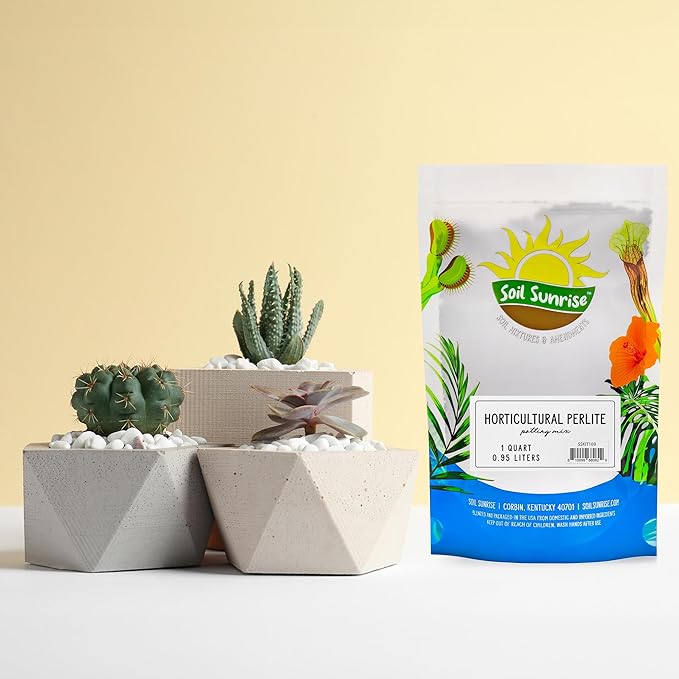 Horticultural Perlite Soil Additive (1 Quart); for Enhanced Potting Mix Drainage and Growth