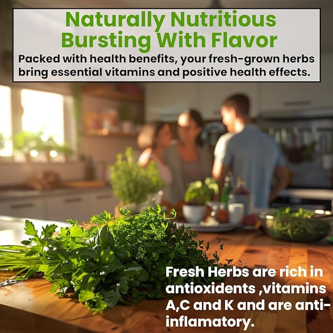 NatureZ Edge 12 Herb Seeds Variety Pack, 6000+ Heirloom Seeds for Planting Hydroponic Indoor or Outdoor Home Garden Plant Seed, Parsley, Cilantro, Basil, Thyme, Chamomile, Oregano, Dill & More NonGMO