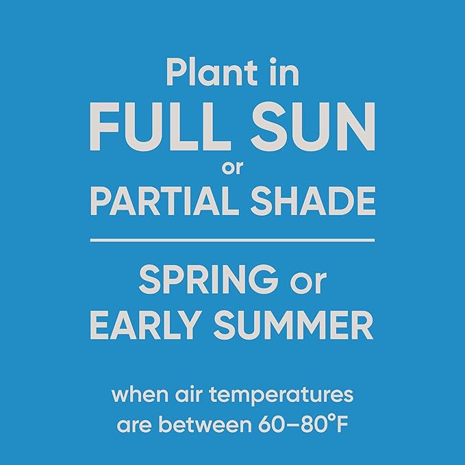 Scotts Pursue Clover Lawn, Rich in Natural Ingredients, 2 lbs.
