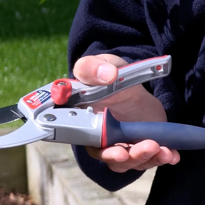 Spear & Jackson 6458RS Razorsharp Ratchet Anvil Pruners / Pruning Shears with Rotating Ergonomic Handle, Blue, 21.5 x 6.5 x 2.5 cm