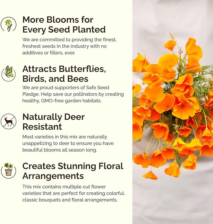 Eden Brothers Alaska Wildflower Mixed Seeds for Planting, 1 lb, 480,000+ Seeds with Yarrow, Foxglove, Cornflower | Attracts Pollinators, Plant in Spring or Fall, Zones