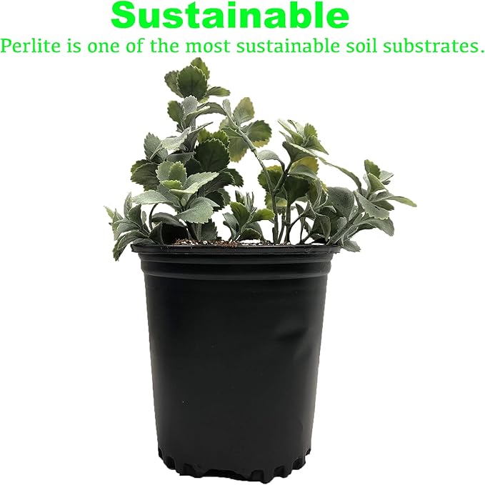 Viagrow VPER4-2 4 cu. ft. Perlite (2 Pack), 2-Pack, White