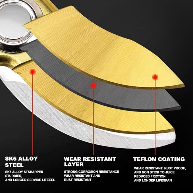 Garden Pruning Shears Set - 2 Pack, 1 Bypass Pruner+1 Straight Blade Scissors, Garden Clippers, Sharp Garden Shears for Cutting Flowers, Trimming Plants, Bonsai, Fruits Picking, Gardening Tools