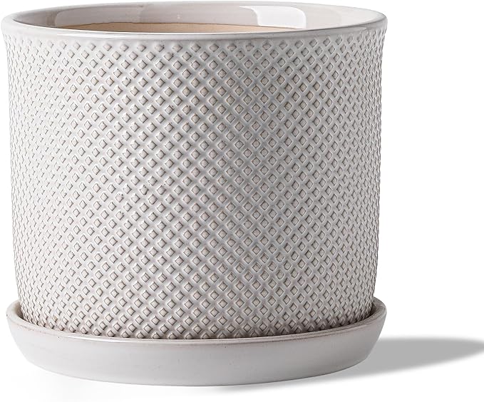 8 Inch Plant Pot: Ceramic Planter with Drainage Hole & Saucer Indoor Outdoor Plants - Flowerpot with Bonded Tray for Home Office - Beaded Embossed Style, Cream White