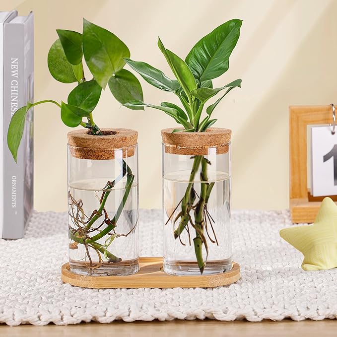 Plants Propagation Station - 2Pcs Desktop Plant Terrarium Glass Hydroponic Vases, Water Plant Propagating Jars, Gardening Gifts for Women Mom Plant Lovers (Thin Straight Shape, Conjoined Tray Style)