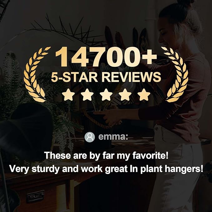 MUDEELA 6 Pack of 12 inch Plant Saucer, Durable Plastic Plant Trays for Indoors, Grey Plastic Flower Plant Pot Saucer, Made of Thicker, Stronger Plastic, with Taller Design