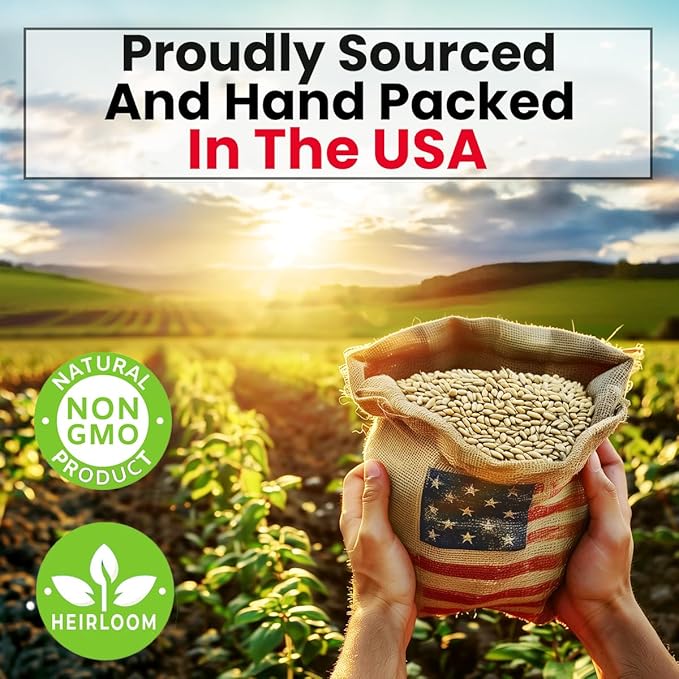 NatureZ Edge 12 Herb Seeds Variety Pack, 6000+ Heirloom Seeds for Planting Hydroponic Indoor or Outdoor Home Garden Plant Seed, Parsley, Cilantro, Basil, Thyme, Chamomile, Oregano, Dill & More NonGMO