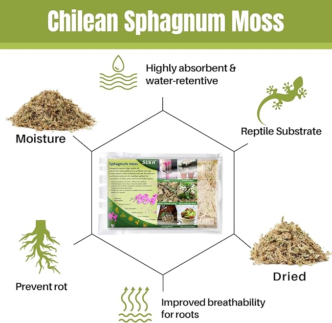 Sukh 20oz Sphagnum Moss for Plants - Sphagnum Peat Moss Natural Long Fibered Dried Moss Potting for Orchids Succulent Carnivorous Potted Plant Reptiles Medium Sarracenia DIY Moss Terrarium Decorations