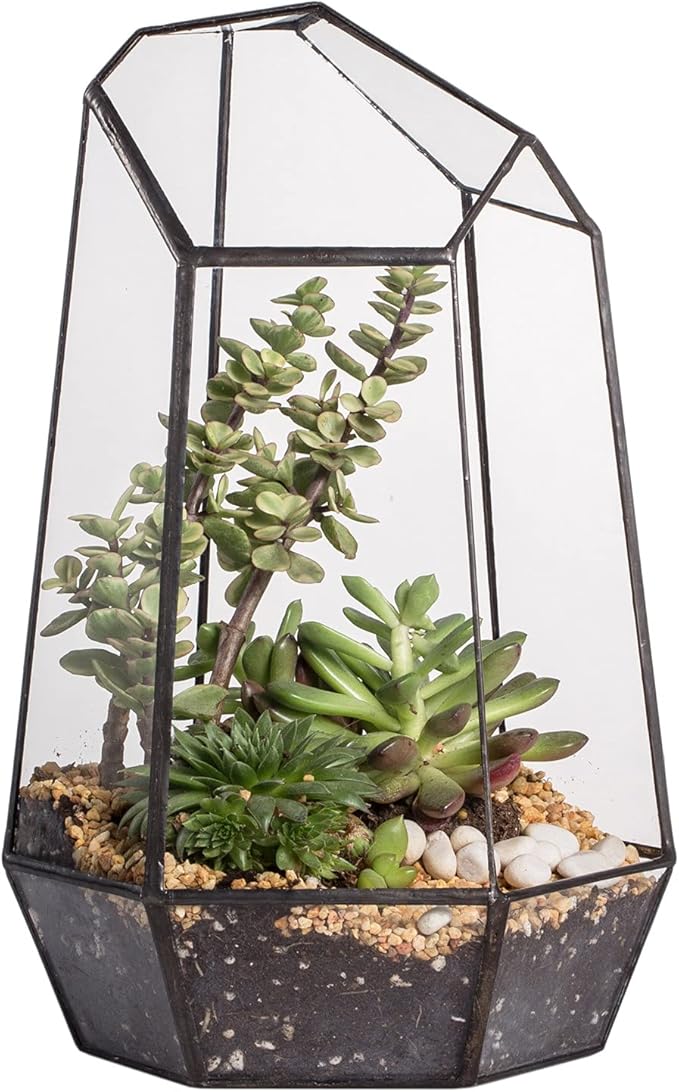 NCYP Geometric Glass Terrarium Planter for Succulent, Small Cacti - 6.5" x 5.7" x 9.8" Black Irregular Opened Container Pot, Indoor Home Garden Office Tabletop Decor (No Plants, No Door)