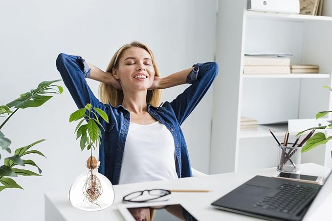 Avocado Seed Starter Planter Vase Pot Avocado Tree Growing Kit Glass Vases Grow Avocado Trees at Home Avocado Tree Growing Kit Unusual Gardening Gifts