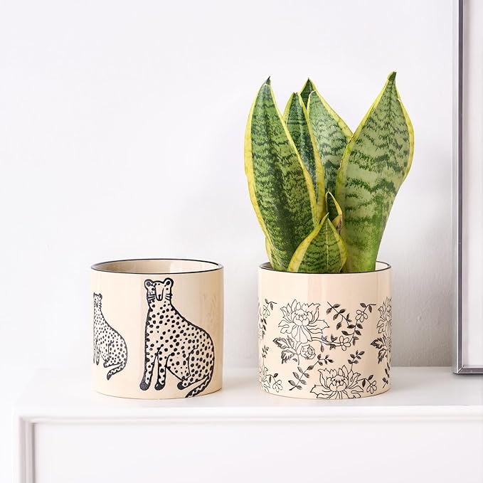 Indoor Ceramic Plant Pots with Drainage Holes 5 Inch Cute Succulent Flower Pots Small Orchid Planter Pots for Indoor Plants Garden Pots, Peony