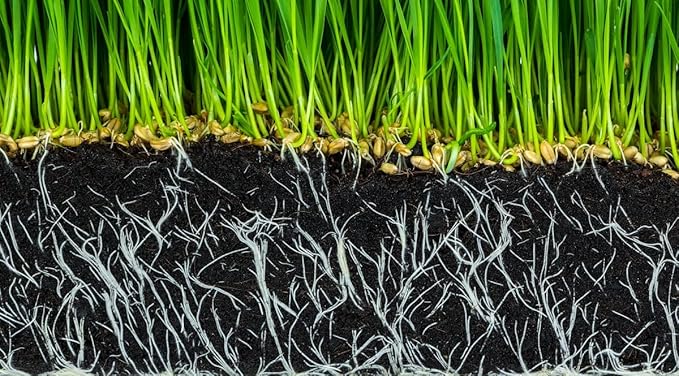 Super Absorbent Polymer Helps Plant Growth and Plant Establishment (20 Pounds)