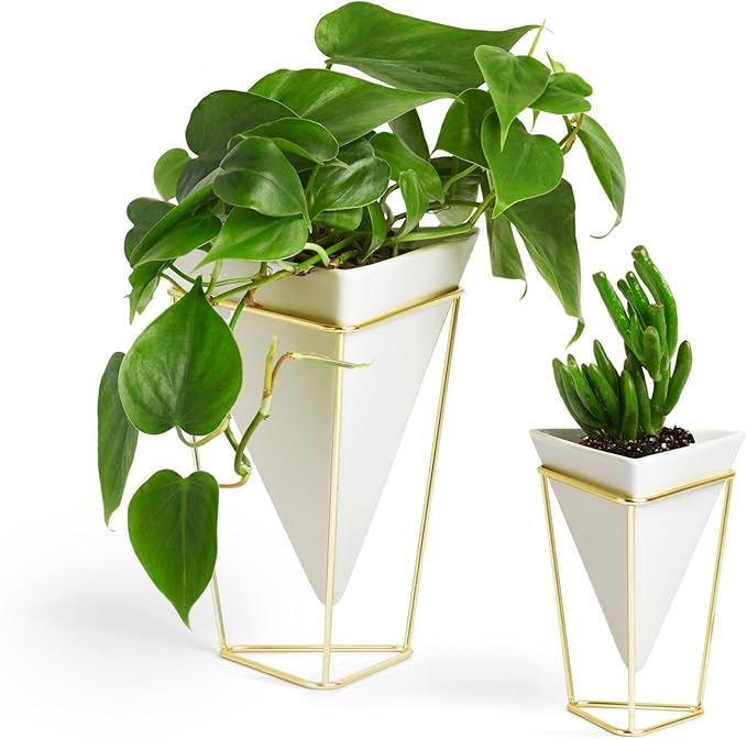 Umbra - 1004372-524 Trigg Desktop Planter Vase & Geometric Container-for Succulent, Air, Mini Cactus, Faux Plants and More, Desk, White/Brass