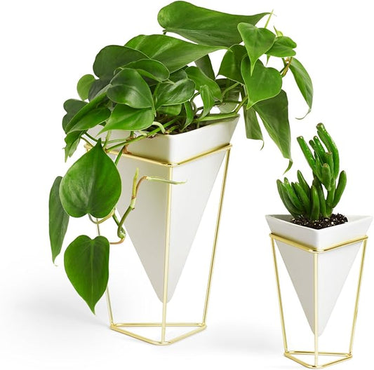 Umbra - 1004372-524 Trigg Desktop Planter Vase & Geometric Container-for Succulent, Air, Mini Cactus, Faux Plants and More, Desk, White/Brass