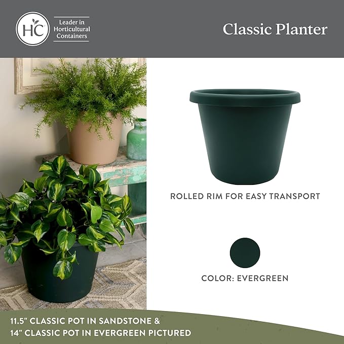 The HC Companies 11.5 inch Round Classic Planter - Plastic Plant Pot for Indoor Outdoor Plants Flowers Herbs, Evergreen (2 Pack)