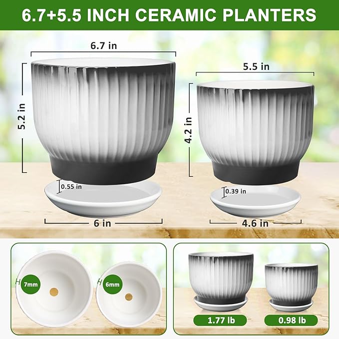 6.7 + 5.5 Inch Plant Pot, Ceramic Planter with Drainage and Saucer, Ceramic Pots for Plants, Indoor Plant pots,Ceramic Flower pots（Black + White, Plants NOT Included）