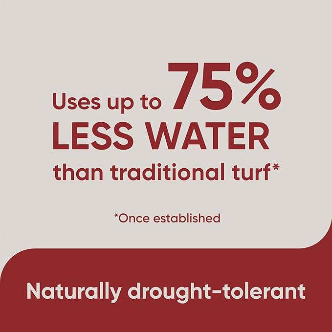 Scotts Pursue Buffalograss with Natural Seed, Seeding for Large Areas, 1 lb.