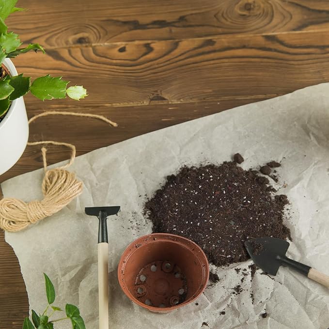 Christmas Cactus Potting Soil Mix 1qt, Ideal for Succulents, Christmas Cacti, and Other Indoor Potted Plantings