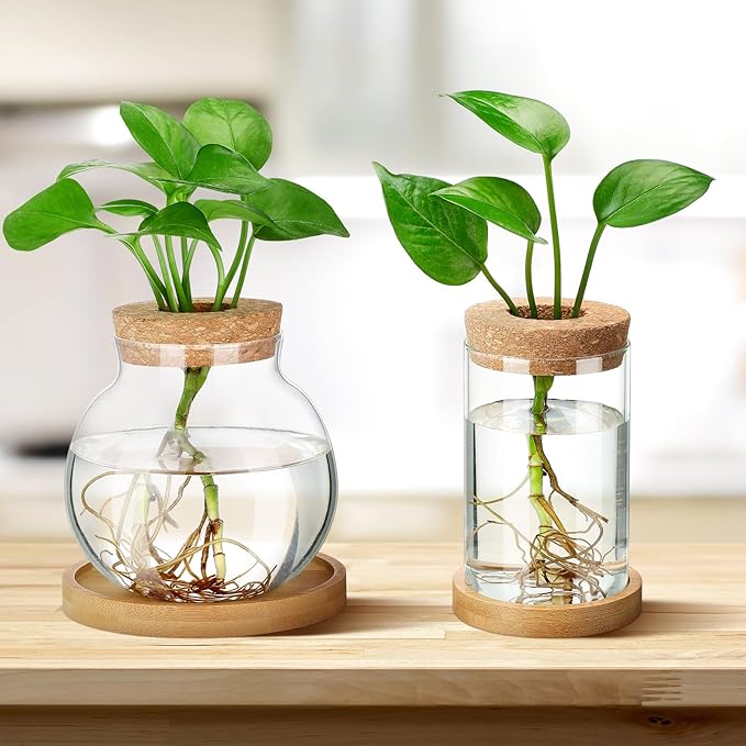 Layhit 4 Pcs Plants Propagation Stations Separated Desktop Plant Terrarium Glass Planter Vase with Wooden Lid and Bamboo Stand for Growing Hydroponic Home Office Tabletop Decoration (Funny Style)