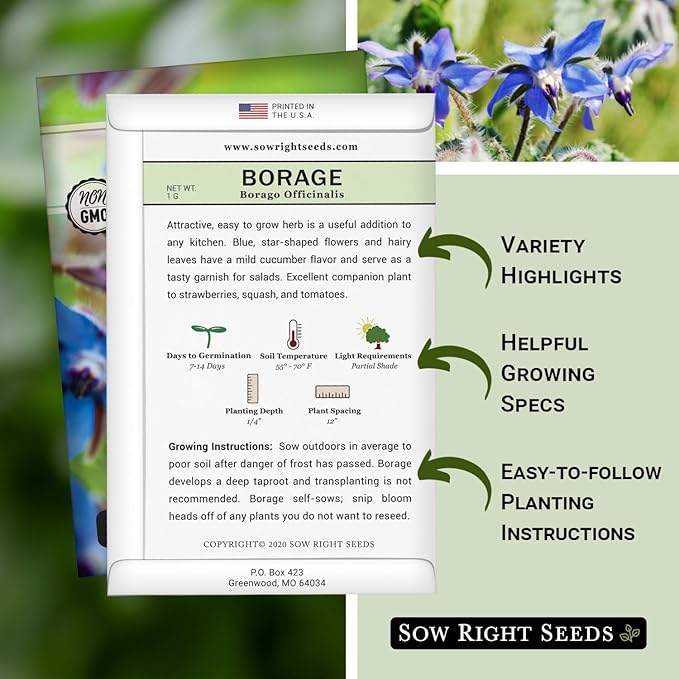 Sow Right Seeds - Borage Seed to Plant - Non-GMO Heirloom Seeds - Full Instructions for Easy Planting and Growing a Kitchen Herb Garden - Indoors or Outdoor - Great Gardening Gift (2)