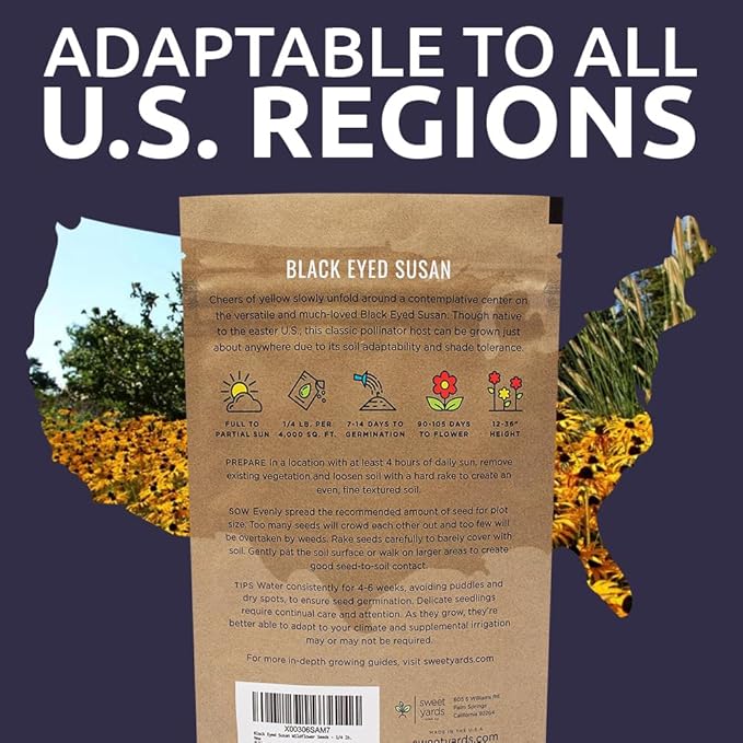 Black Eyed Susan Seeds – Bulk Quarter Pound Bag – Over 400,000 Open Pollinated Non-GMO Wildflower Seeds – Rudbeckia hirta