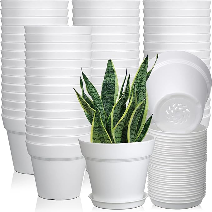 Mumufy 54 Pack 4 Inch Plant Pots Bulk Small Planter with Drainage Hole and Saucer Small Plastic Pots for Flowers Succulent Cactus and All House Indoor(White)